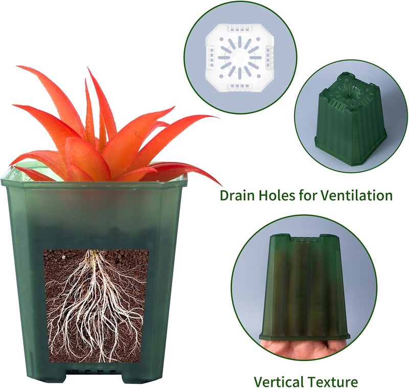 Foxany 3 Inch Transparent Green Nursery Pots, 30 Pcs Thick Plastic Plant Pot, Square Flower Planting Pots Variety Pack, Seedling Planter Starter Pots with Saucers for Garden - Image 3
